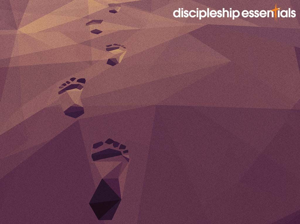 Exploring Discipleship